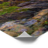 Küstenlinie | Acadia National Park, Schooner Head Poster (Ecke)