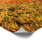 Küstenlinie | Bixby Bridge, Big Sur California Poster (Ecke)