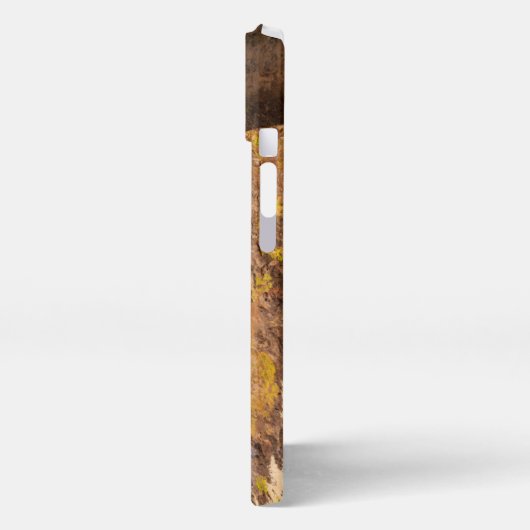 Küstenlinie | Cook's Chasm, Yachats, Oregon iPhone Hülle (Linke Seite)