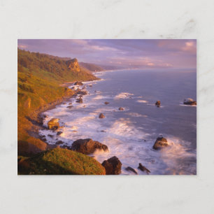 Küstenlinie der Redwoods, Kalifornien Postkarte