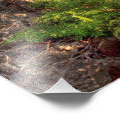 Küstenlinie Maui Fotodruck (Ecke)