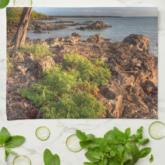 Küstenlinie Maui Geschirrtuch (Gefaltet)