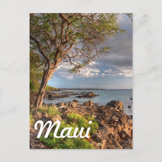 Küstenlinie Maui Postkarte (Vorderseite)