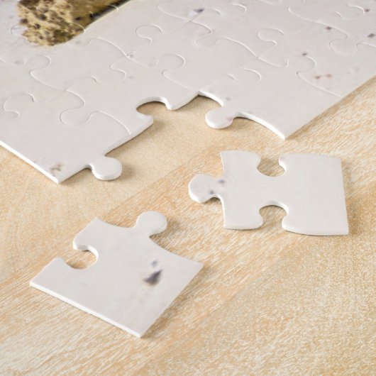 Küstenlinie | Neapel Pier, Südwestflorida Puzzle (Seite)