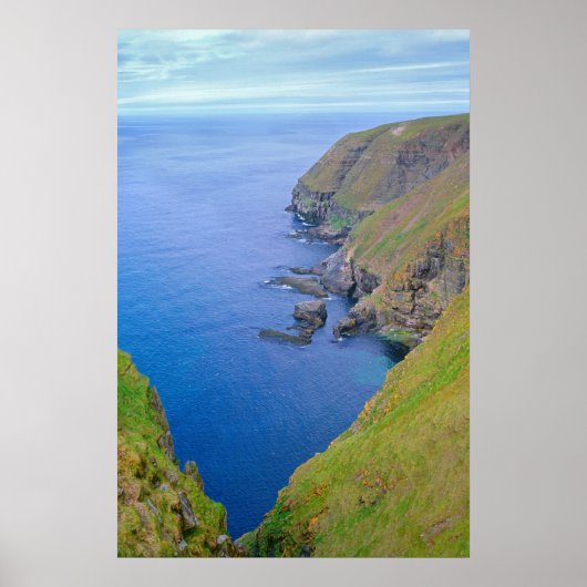 Küstenlinie Neufundland Poster (Vorne)