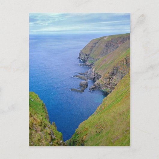 Küstenlinie Neufundland Postkarte (Vorderseite)