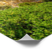 Küstenlinie | Palaiokastritsa, Korfu, Griechenland Poster (Ecke)