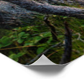 Küstenlinie | Ravens Nest Acadia Nationalpark Main Poster (Ecke)