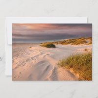 Küstenlinie | Saltum Beach, Dänemark