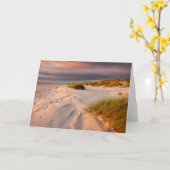 Küstenlinie | Saltum Beach, Dänemark Karte (Gelbe Blume)