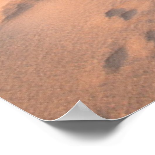 Küstenlinie | Saltum Beach, Dänemark Poster (Ecke)