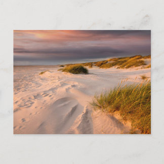 Küstenlinie | Saltum Beach, Dänemark Postkarte