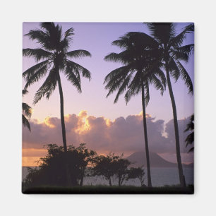 Küstenlinie St. Kitts Magnet