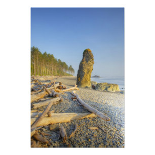 Küstenlinie und Brandungspfeiler, Ruby Beach, Olym Fotodruck