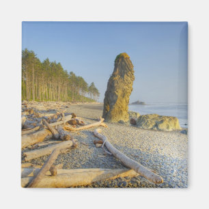 Küstenlinie und Brandungspfeiler, Ruby Beach, Olym Magnet