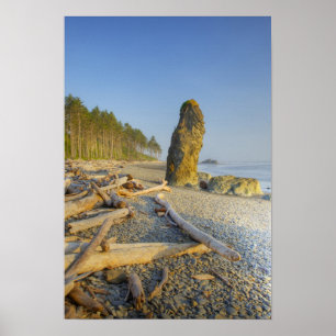 Küstenlinie und Brandungspfeiler, Ruby Beach, Olym Poster