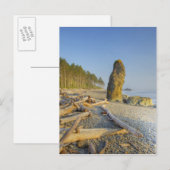 Küstenlinie und Meeresstapel, Ruby Beach, Olympic Postkarte (Vorne/Hinten)