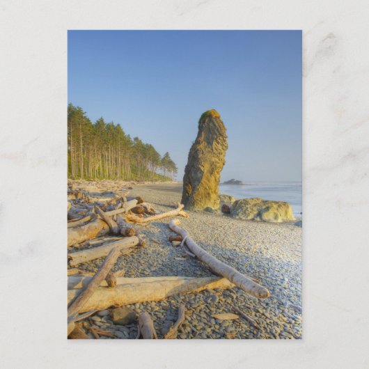 Küstenlinie und Meeresstapel, Ruby Beach, Olympic Postkarte (Vorderseite)