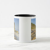 Küstenlinie und Meeresstapel, Ruby Beach, Olympic Tasse (Zentrum)
