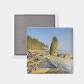 Küstenlinie und Seestacks, Ruby Beach, Olympia Magnet (Vorderseite/Rückseite)
