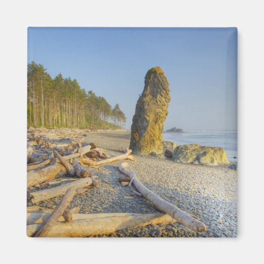 Küstenlinie und Seestacks, Ruby Beach, Olympia Magnet (Vorne)