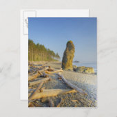 Küstenlinie und Seestacks, Ruby Beach, Olympia Postkarte (Vorne/Hinten)