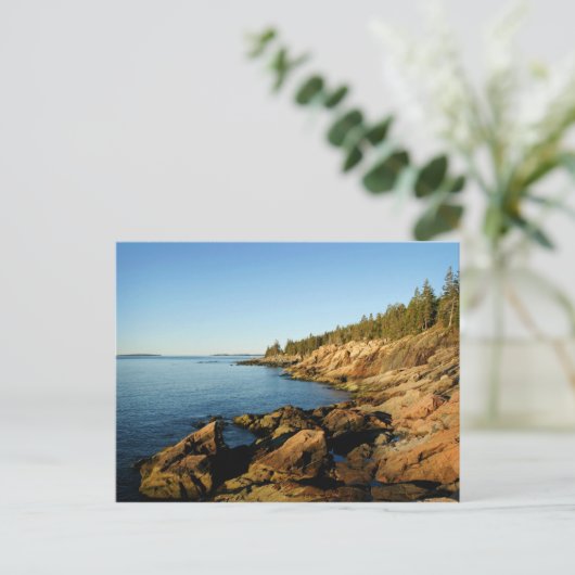 KüstenlinieAcadia Postkarte (Stehend Vorderseite)