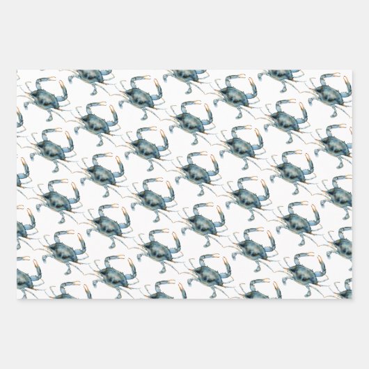 Küstenmeerküste Nautical Delights-Muster Geschenkpapier Set (Vorderseite 3)