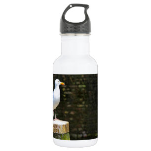 Küstenmöwen-Vogel- und Ozean-Wildlife-Foto Edelstahlflasche