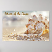 Küstenruhe: Seashell am Strand von Sunlit Poster (Vorne)