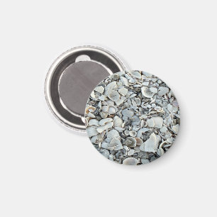 Küstenschalendriftmuster Magnet