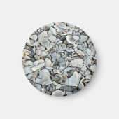 Küstenschalendriftmuster Magnet (Vorne)