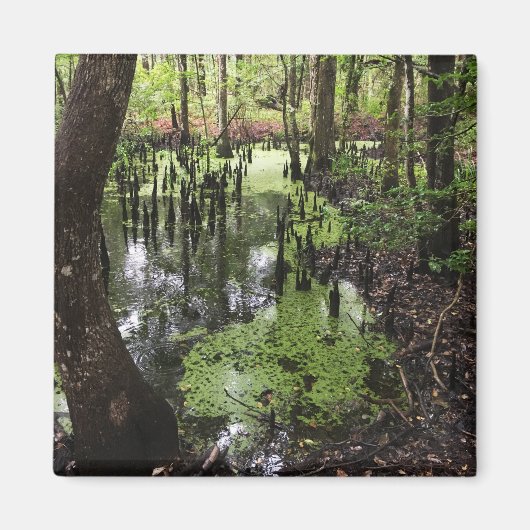 Küstenschutzgebiet Magnet (Vorne)