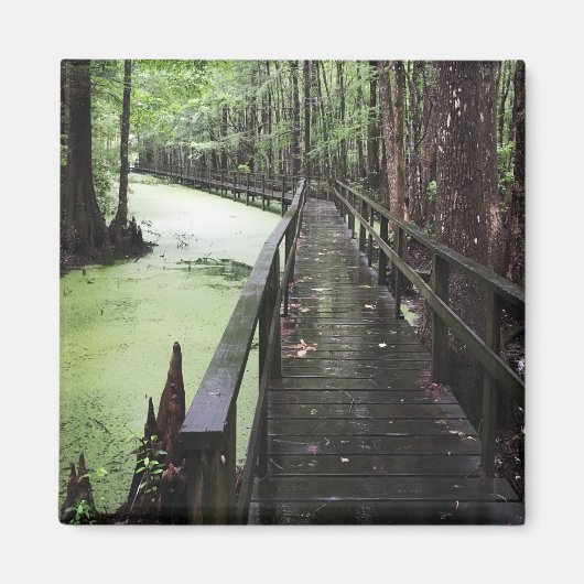 Küstenschutzgebiet Magnet (Vorne)