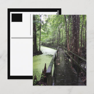 Küstenschutzgebiet Postkarte