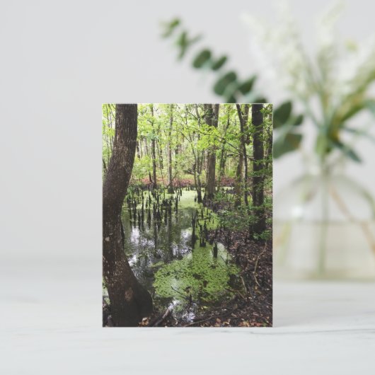 Küstenschutzgebiet Postkarte (Stehend Vorderseite)