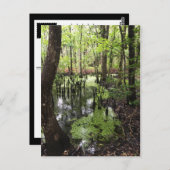 Küstenschutzgebiet Postkarte (Vorne/Hinten)