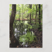 Küstenschutzgebiet Postkarte (Vorderseite)