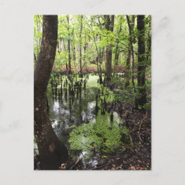 Küstenschutzgebiet Postkarte