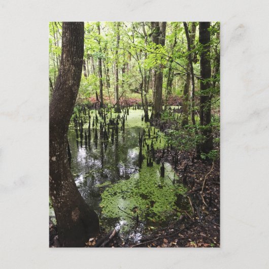 Küstenschutzgebiet Postkarte (Vorderseite)