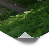 Küstenschutzwald. Poster (Ecke)