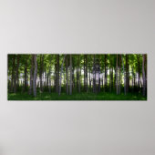 Küstenschutzwald. Poster (Vorne)