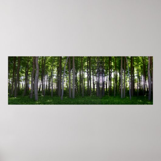 Küstenschutzwald. Poster (Vorne)