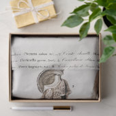 Küstenseashell-Aquarell Seidenpapier (Geschenk)