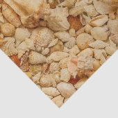 Küstenseashells-Foto Seidenpapier (Ausschnitt)