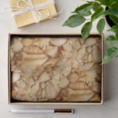 Küstenseashells-Foto Seidenpapier (Geschenk)