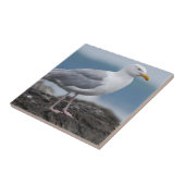 Küstenseemöwe Fliese (Seite)