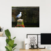 Küstenseeschwalben-Fotografie Poster (Heimbüro)