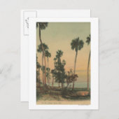 Küstensicht auf den Indischen Fluss mit Palmen Postkarte (Vorne/Hinten)