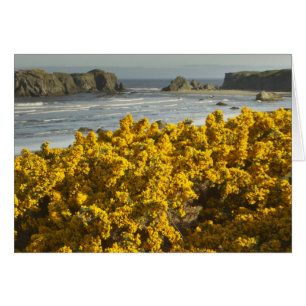 Küstensicht, Bandon, Oregon